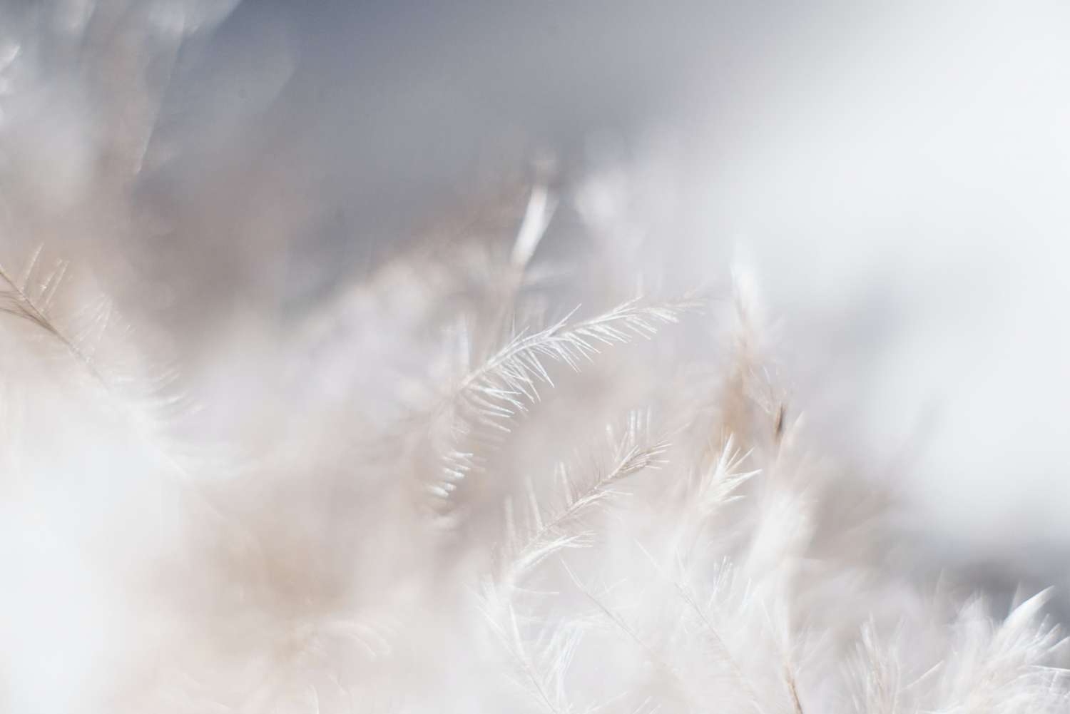 evie s Sw7f58YJbc0 unsplash Giới thiệu